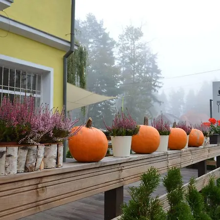 Pensjonat U Rybara Namiestów