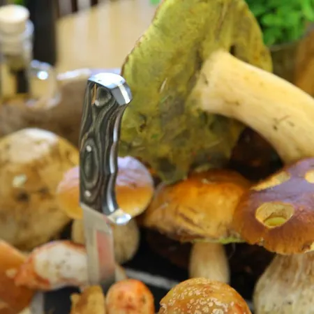 U Rybara Pensjonat Namiestów